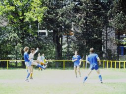 0DIA 1988 RAVA B1